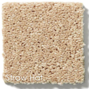 Dyersburg Cut Pile Indoor Area Rug Collection | 1/2" Thick 30 oz. Durable Cut Pile Indoor Area Rug Multiple Colors Straw Hat