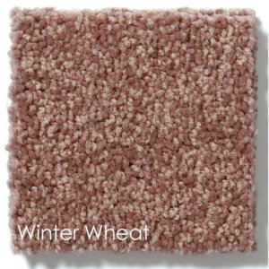 Dyersburg Cut Pile Indoor Area Rug Collection | 1/2" Thick 30 oz. Durable Cut Pile Indoor Area Rug Multiple Colors Winter Wheat