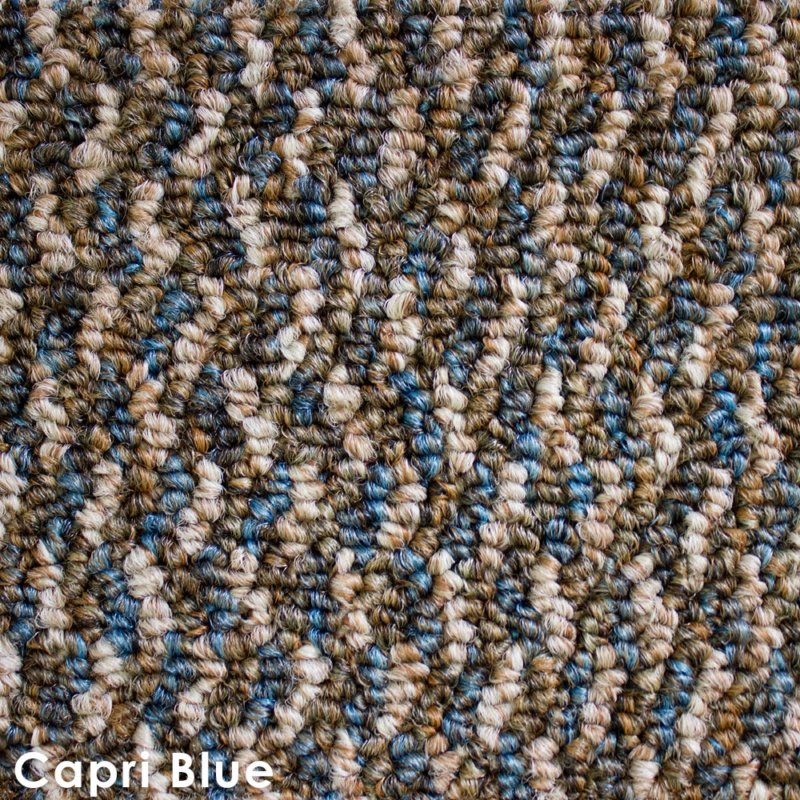 Zeal Graphic Loop DOG ASSIST Carpet Stair Treads Capri Blue