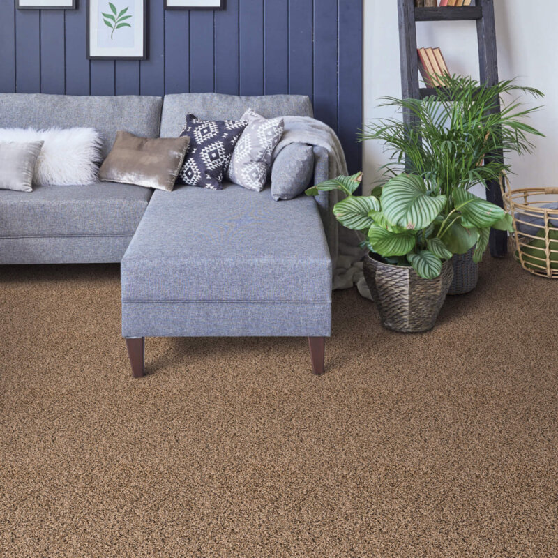 West Brow Indoor Frieze Area Rug Collection | 1/2" Thick Multi Color Frieze | Customize Your Size and Shape
