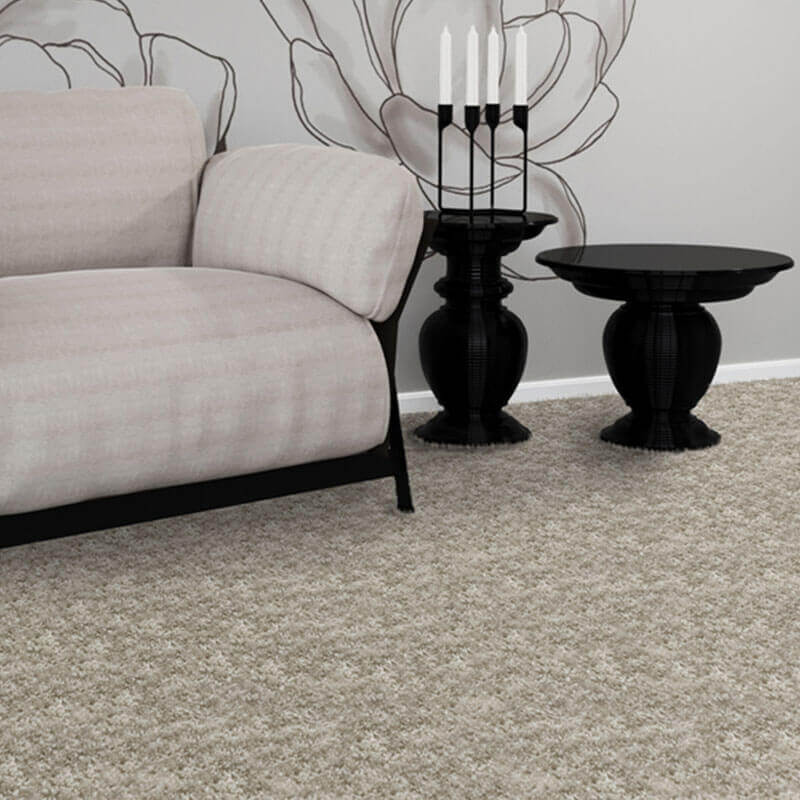 Phenomenal Ultra Soft Area Rug Shagtacular Collection - Room
