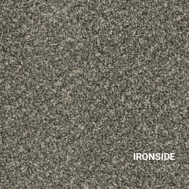Ironside Indoor Area Rug