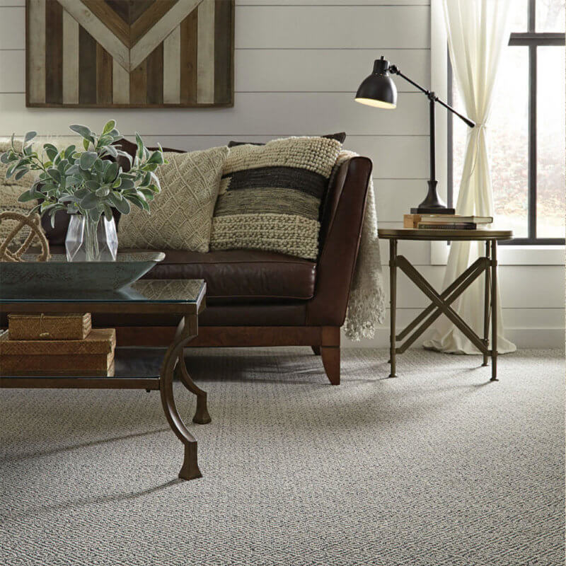 Stroll Custom Cut Indoor Carpet Area Rug Collection - Room 1