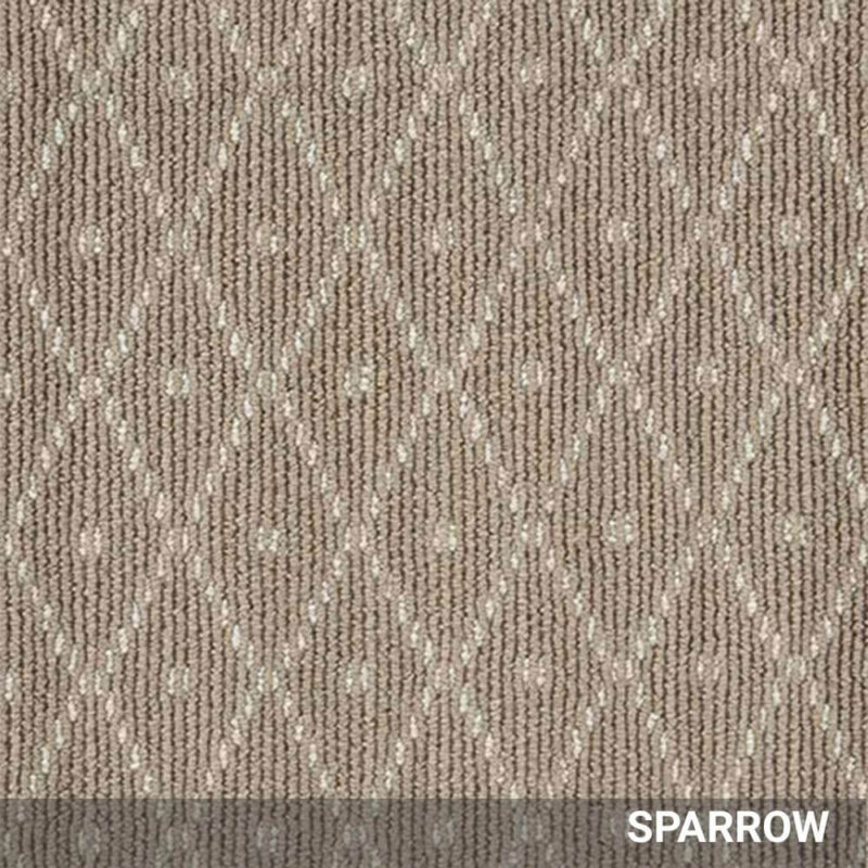 Sparrow Paragon Wool Area Rug