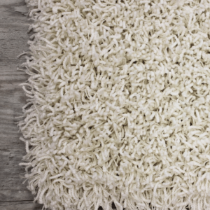 hello beautiful shaggy