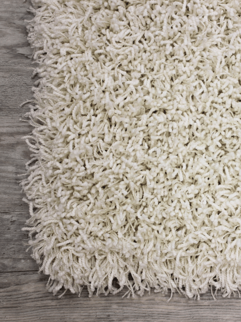 hello beautiful shaggy