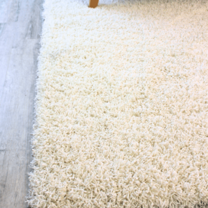 hello beautiful room scene